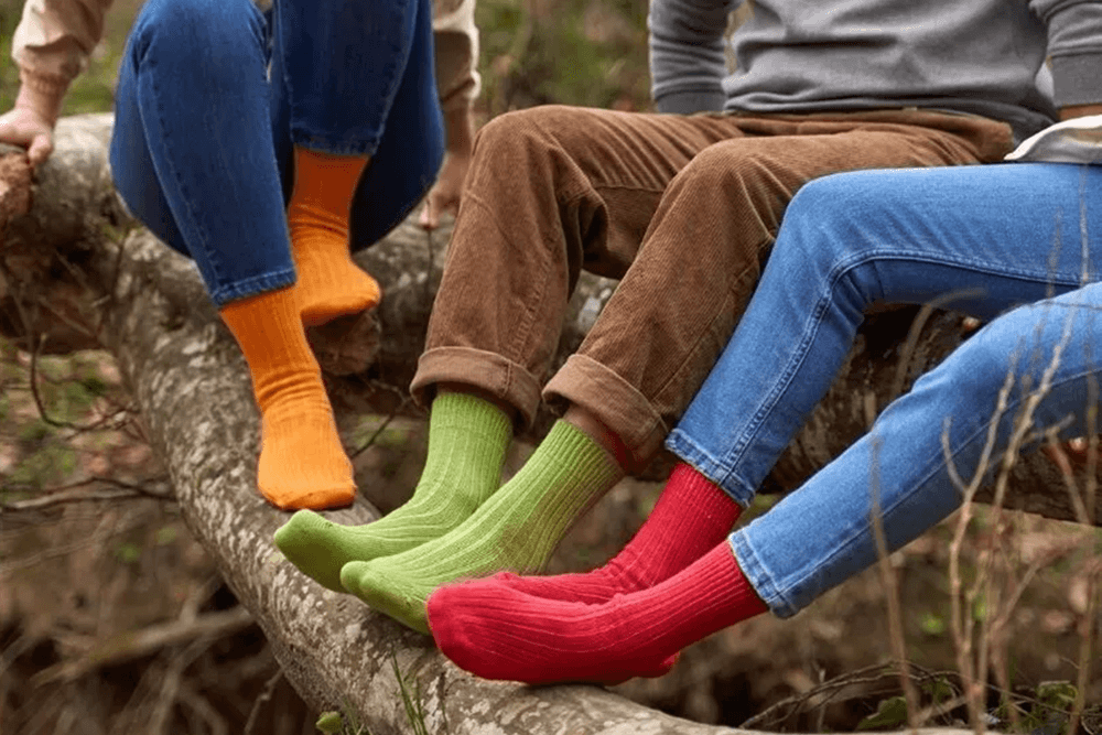Three people wearing colorful fashion socks while sitting on a fallen tree in a forest.