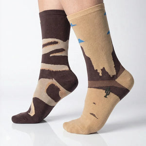 Pair of mismatched brown and beige patterned socks on a white background