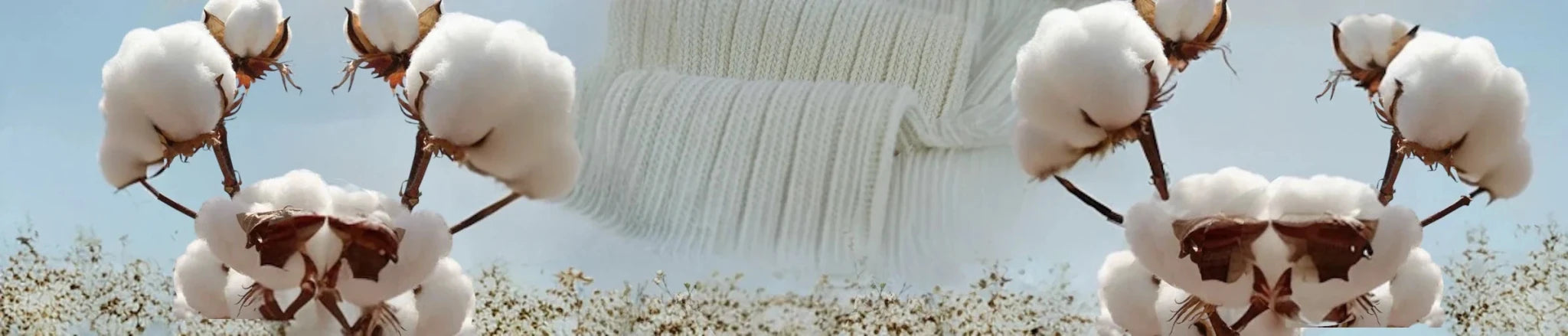 A plain cream ribbed sock against a background of cotton flowers