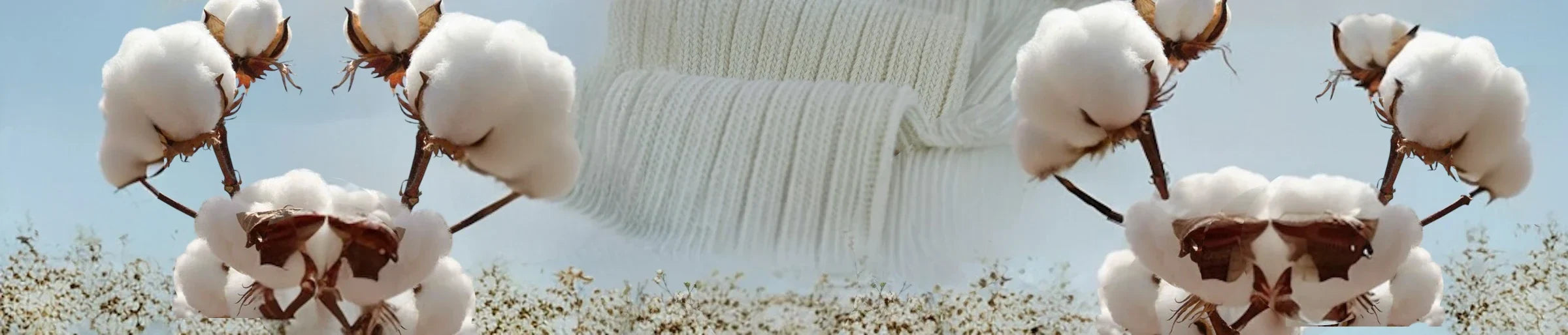 A plain cream ribbed sock against a background of cotton flowers