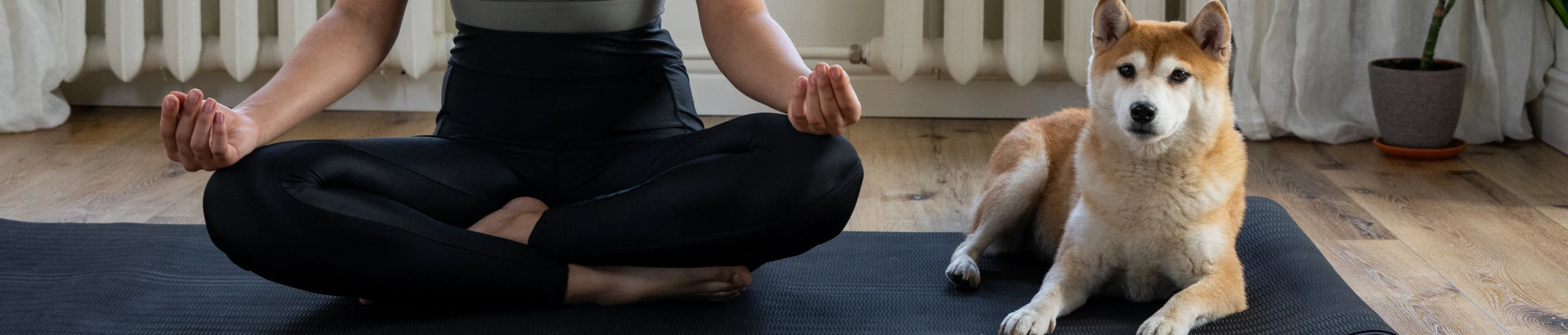 Woman doing yoga with dog sitting next to her