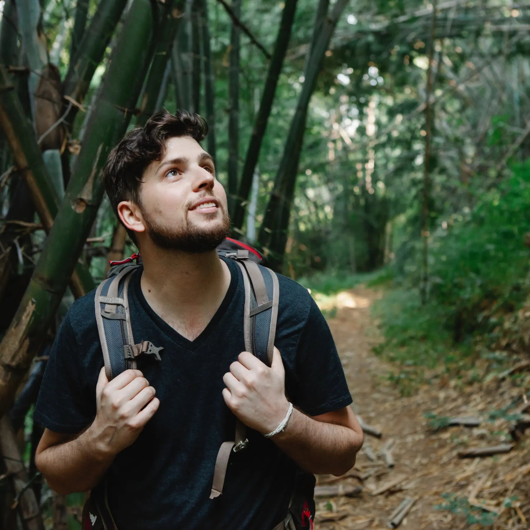 man in a bamboo forrest