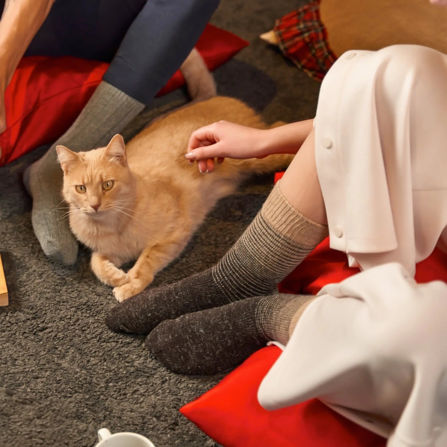 Person wearing brown Alpaca merino wool socks with a beige stripe stroking a ginger cat