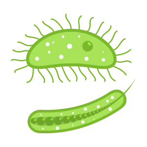 icon green bacteria